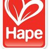 Hape - Happy Family - Asian Doll House Set - Image 8