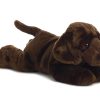 Modern Aurora Lil' Lucky Dog Mini Flopsie Plush Stuffed Animal 8"